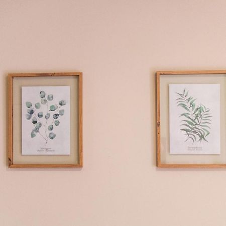 Sao Lazaro'S Garden - Apartment With Terrace 波尔图 外观 照片